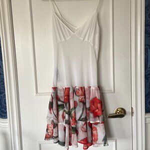 Babylon Dress Sheer Crepe Size 6 - Vacation, Resort, Beach